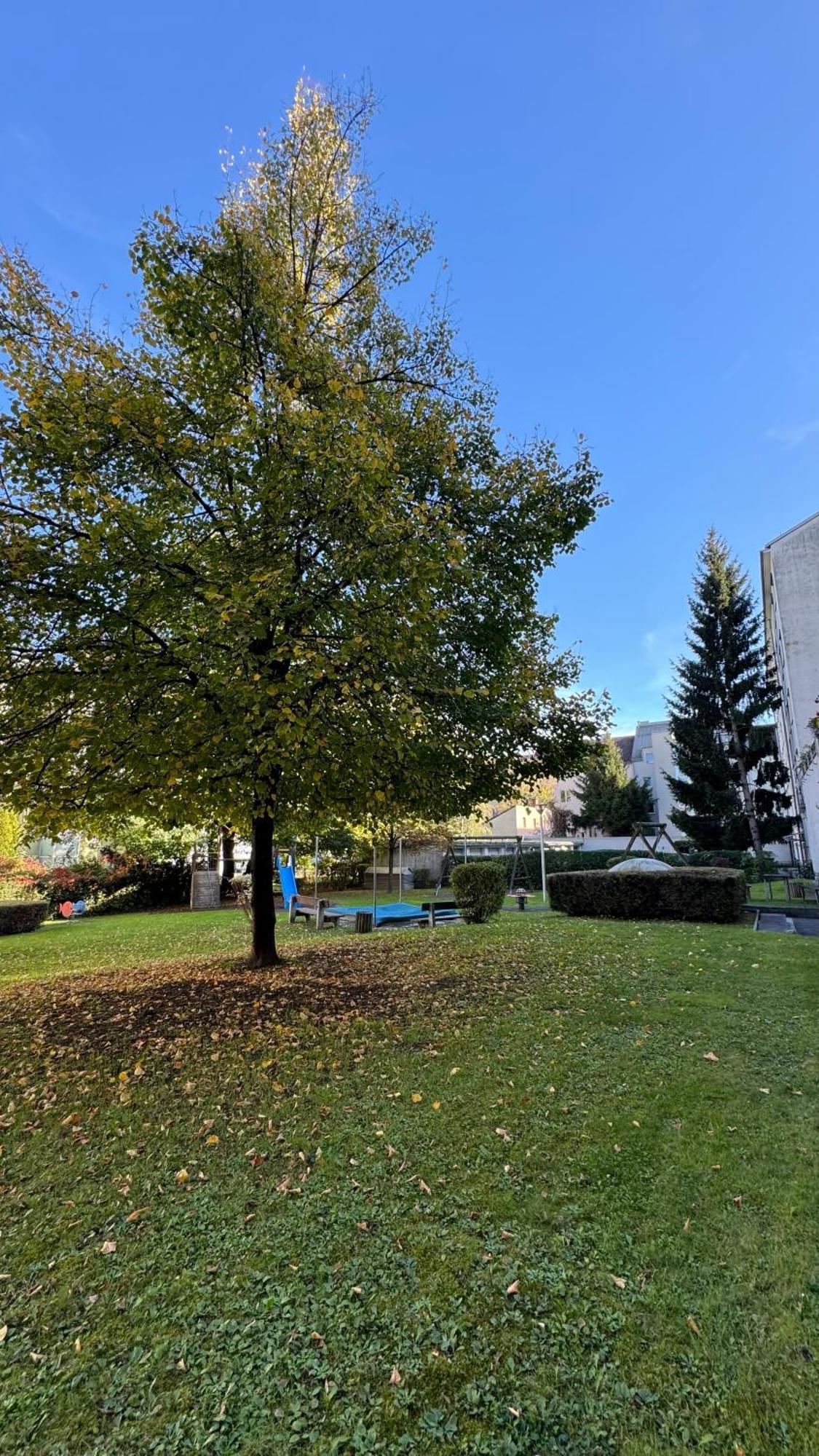 City Apartement Linz Fuer 5 Gaeste Mit Self-Checkin Und Kueche Exterior photo